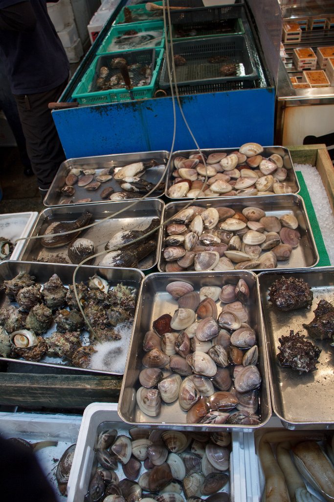 18-Tsukiji Fish Market.jpg
